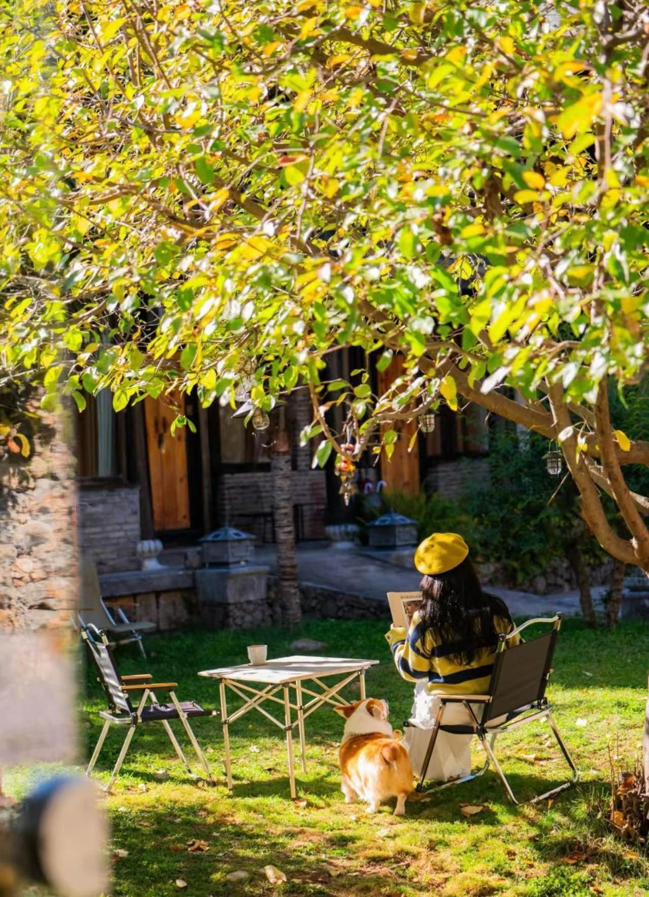 Adonis Inn Lijiang Lijiang  Exterior foto